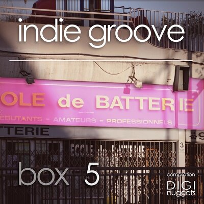 Indie Groove Box Vol.5 (2017)